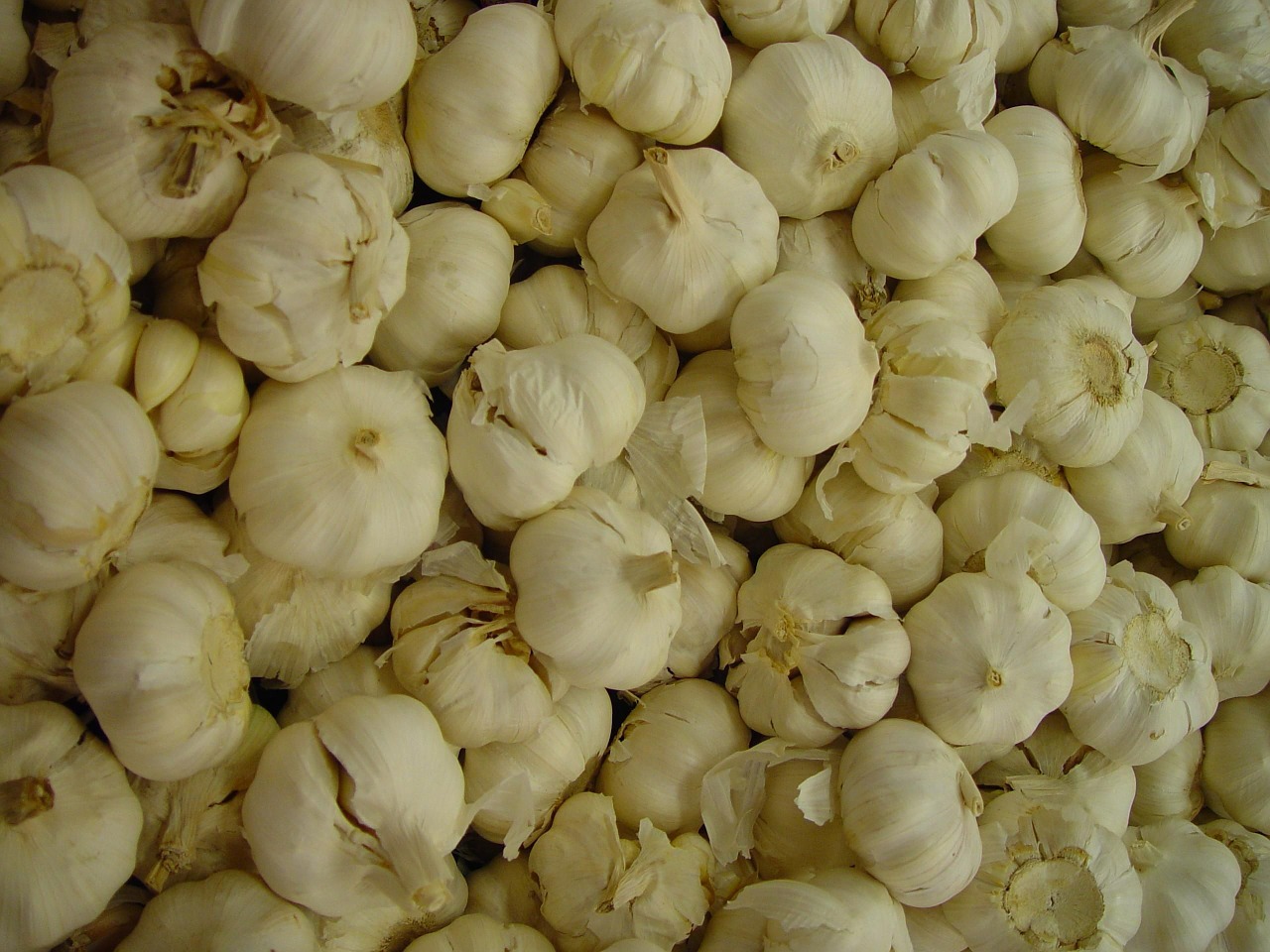 cloves endless garlic free photo