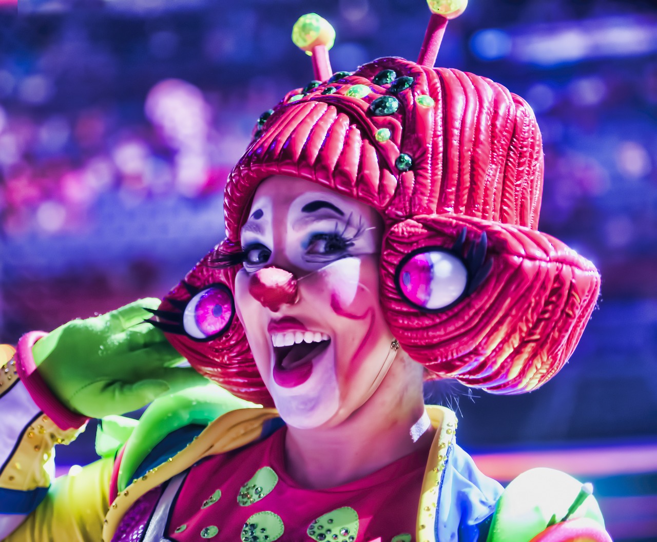 clown  circus  carnival free photo
