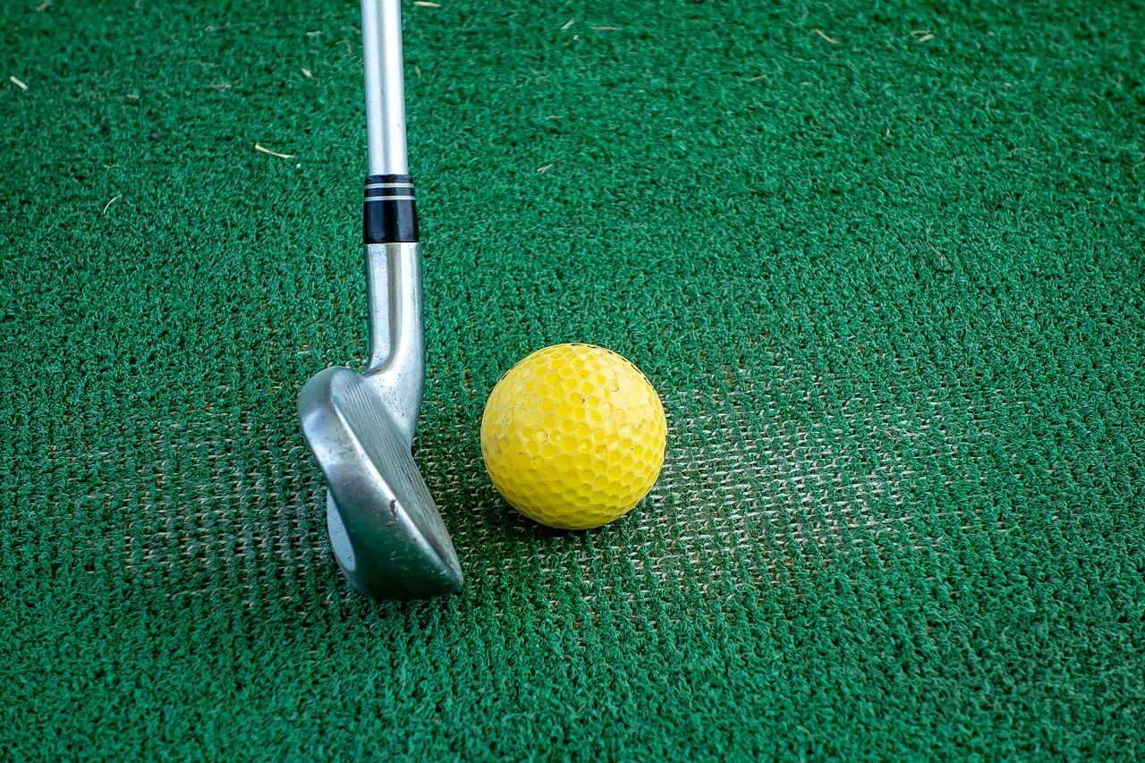 club  cane  golf free photo