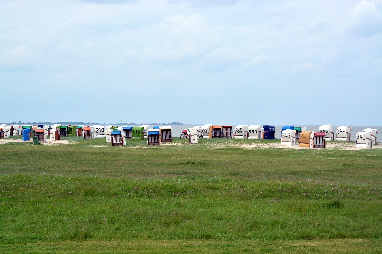 clubs beach north sea free photo