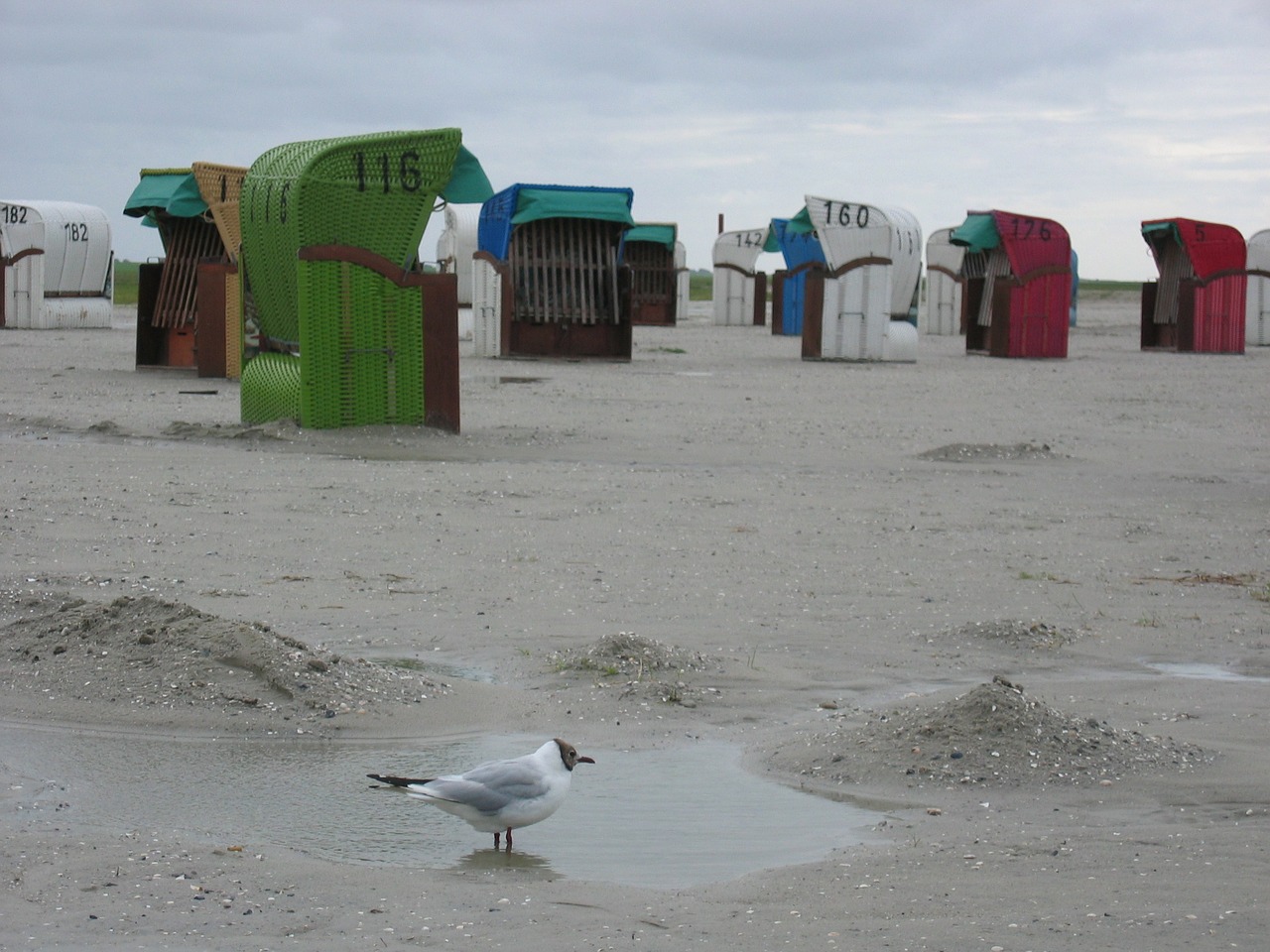 clubs beach sand free photo