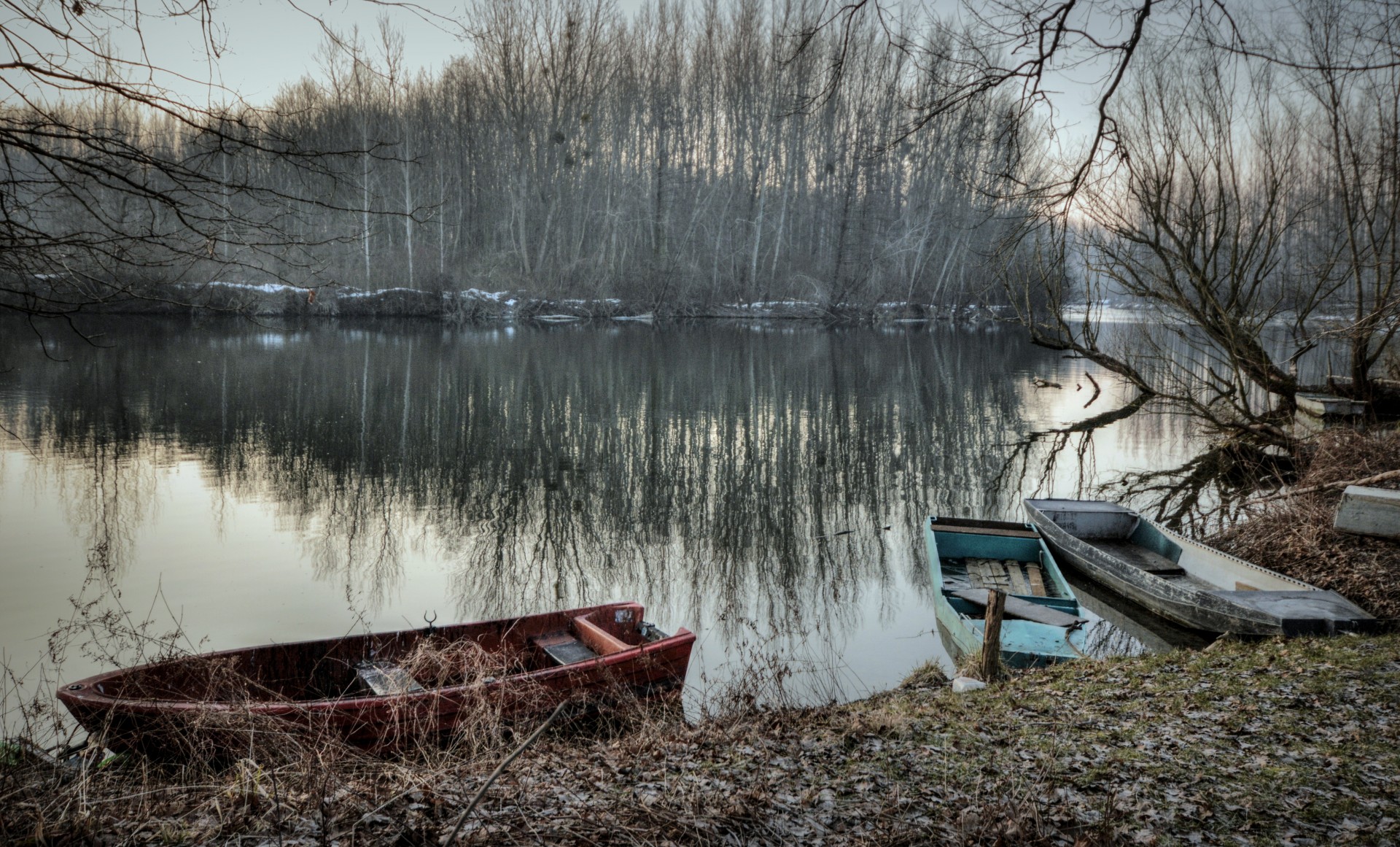 danube wetlands shoulder free photo