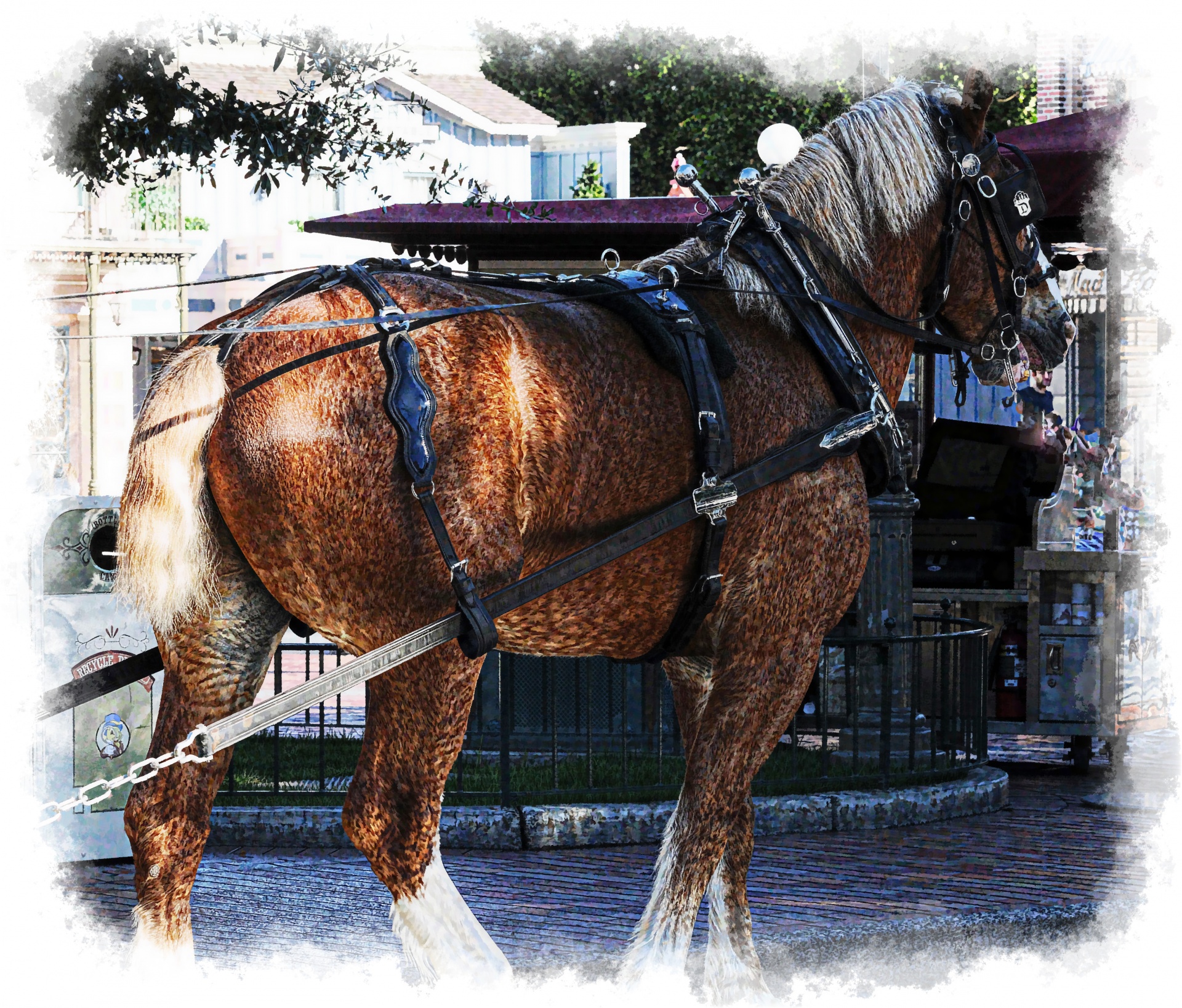 clydesdale horse horse equestrian free photo