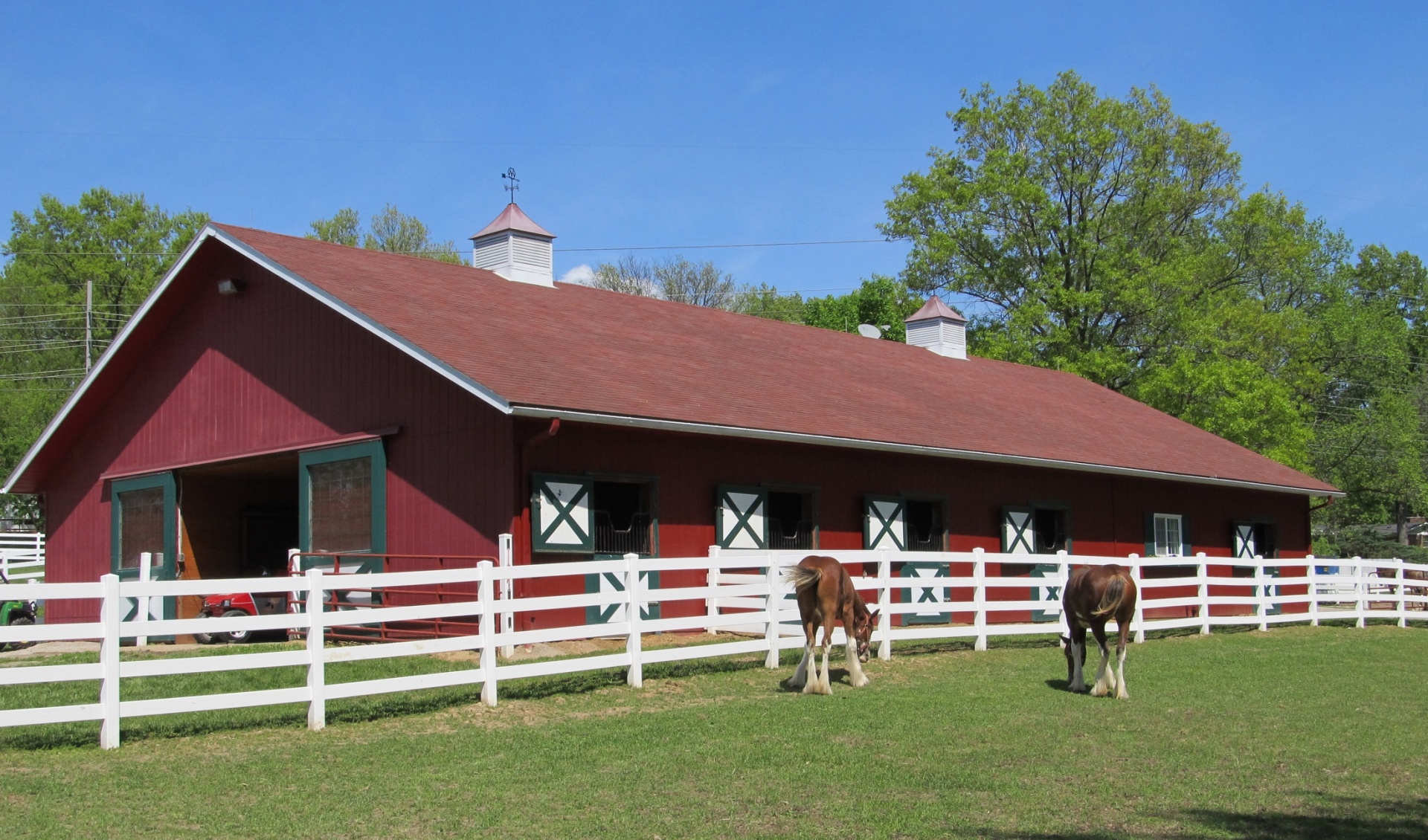 horses barn clydesdales free photo