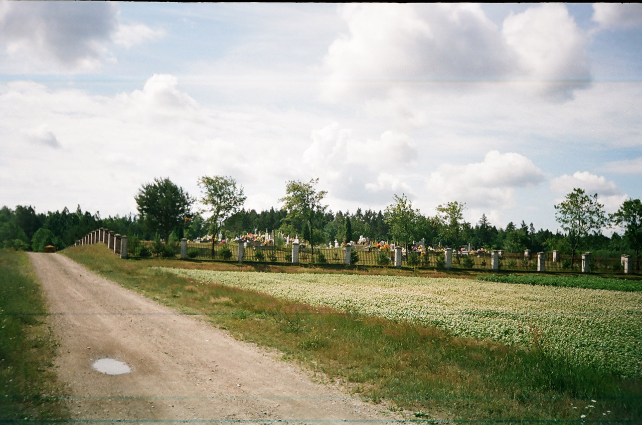 forest cemetery poland free photo