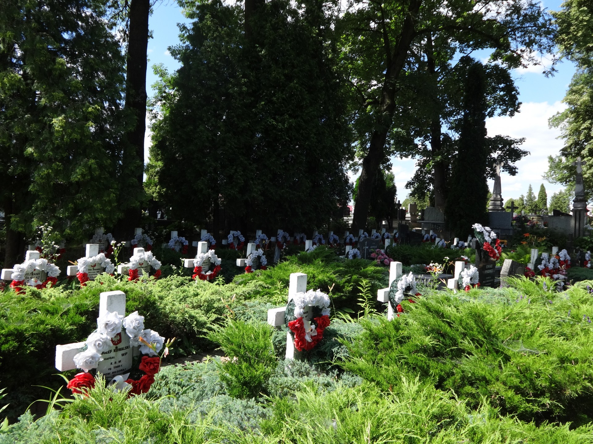 cemetery bilgoraj lublin free photo