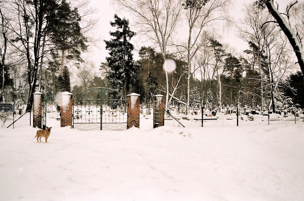 cemetery winter lublin free photo