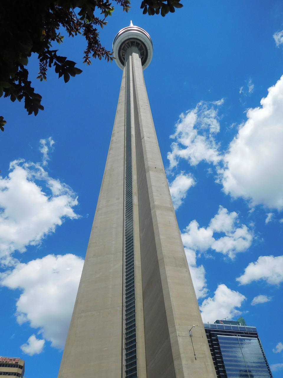 cn tower toronto canada free photo