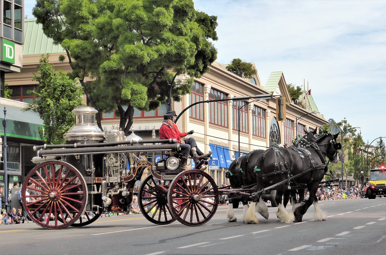 coach horse and carriage antique car free photo