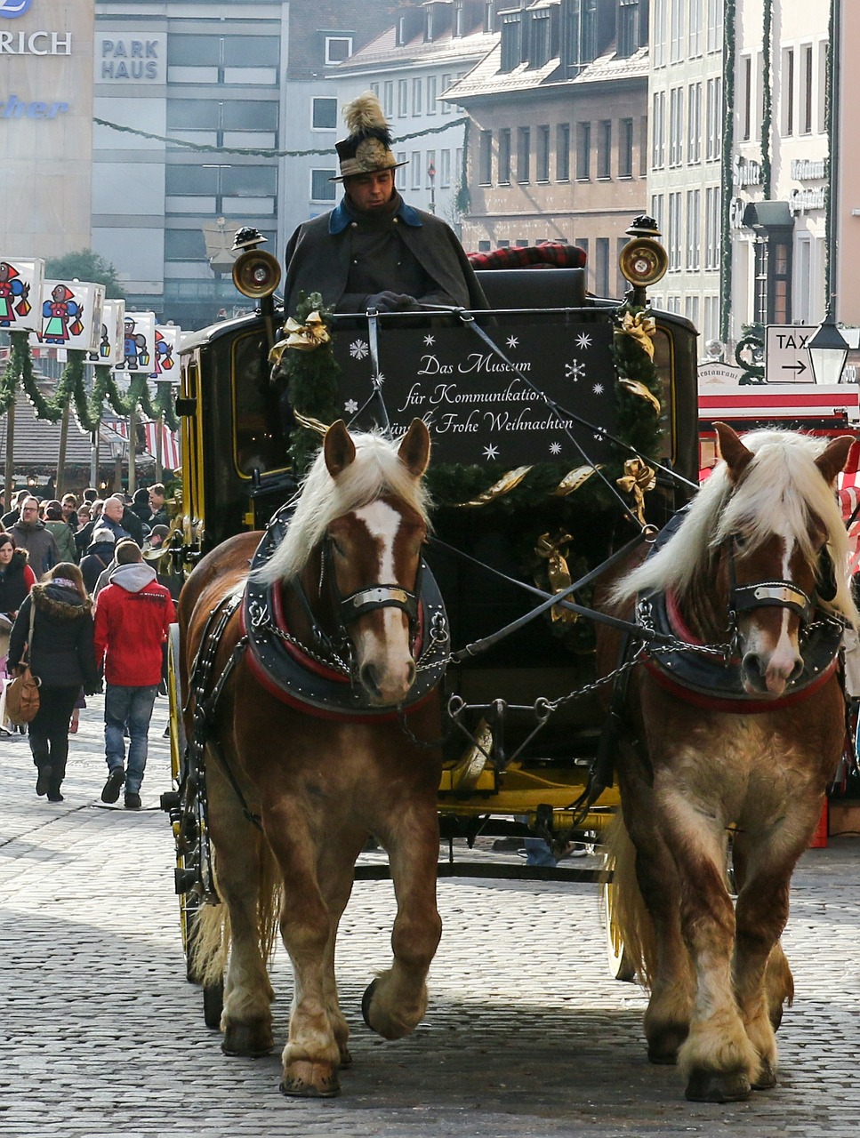 coach horses nuremberg free photo