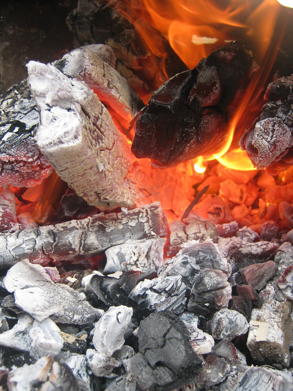 coal wood burned free photo