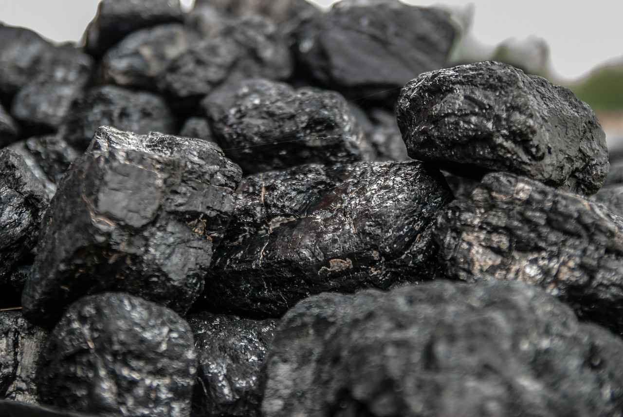 coal briquette black free photo