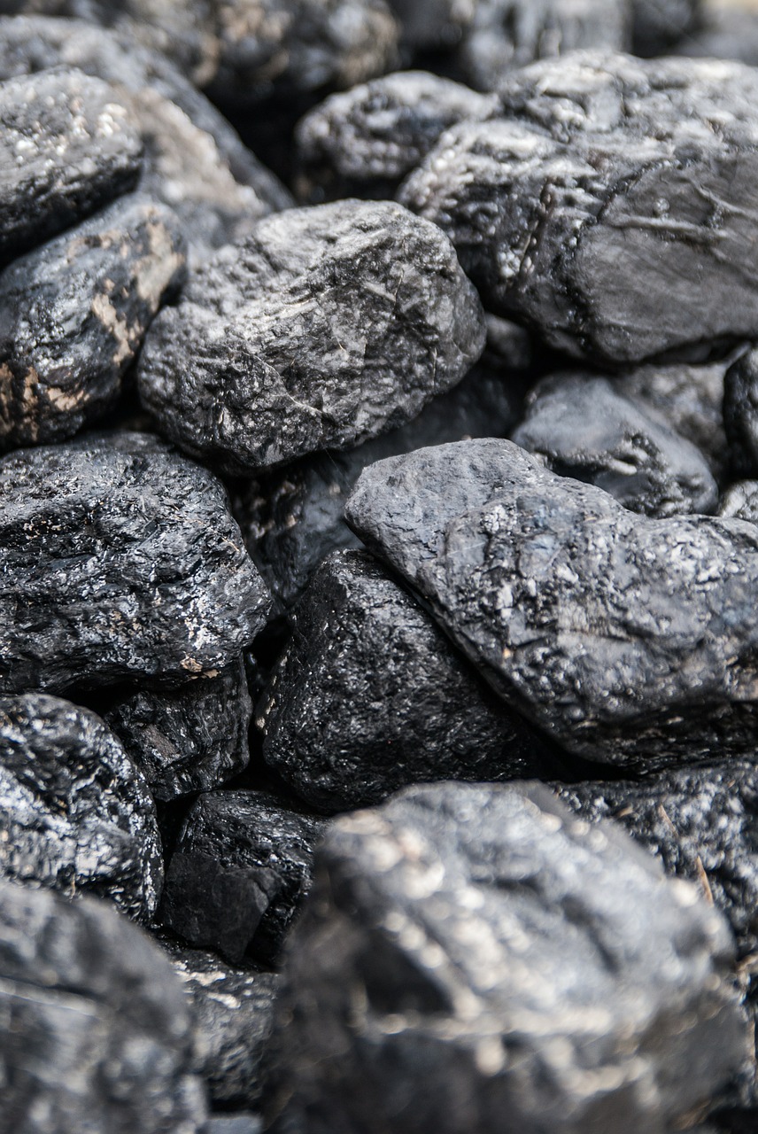 coal briquette black free photo