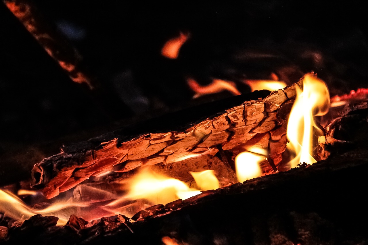 coal firewood fire free photo