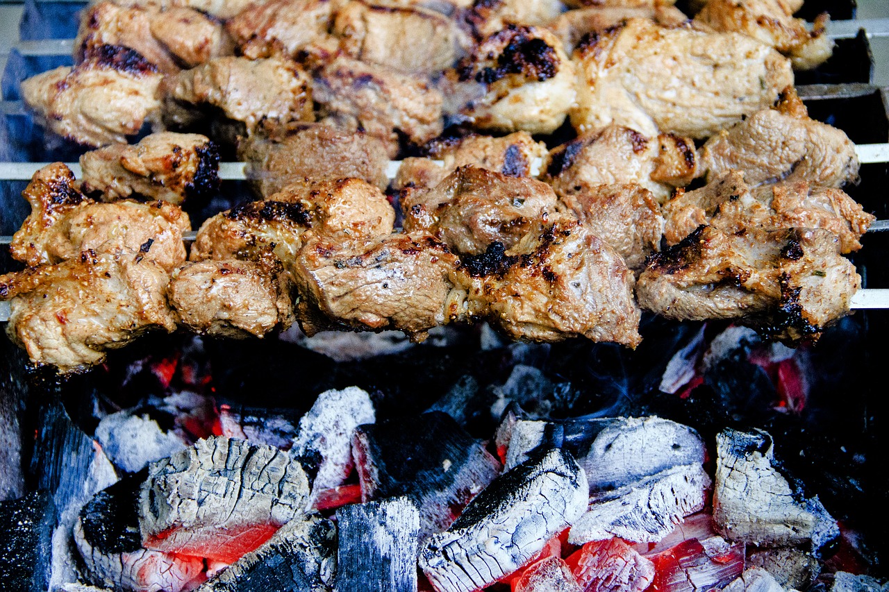 coals  shish kebab  mangal free photo