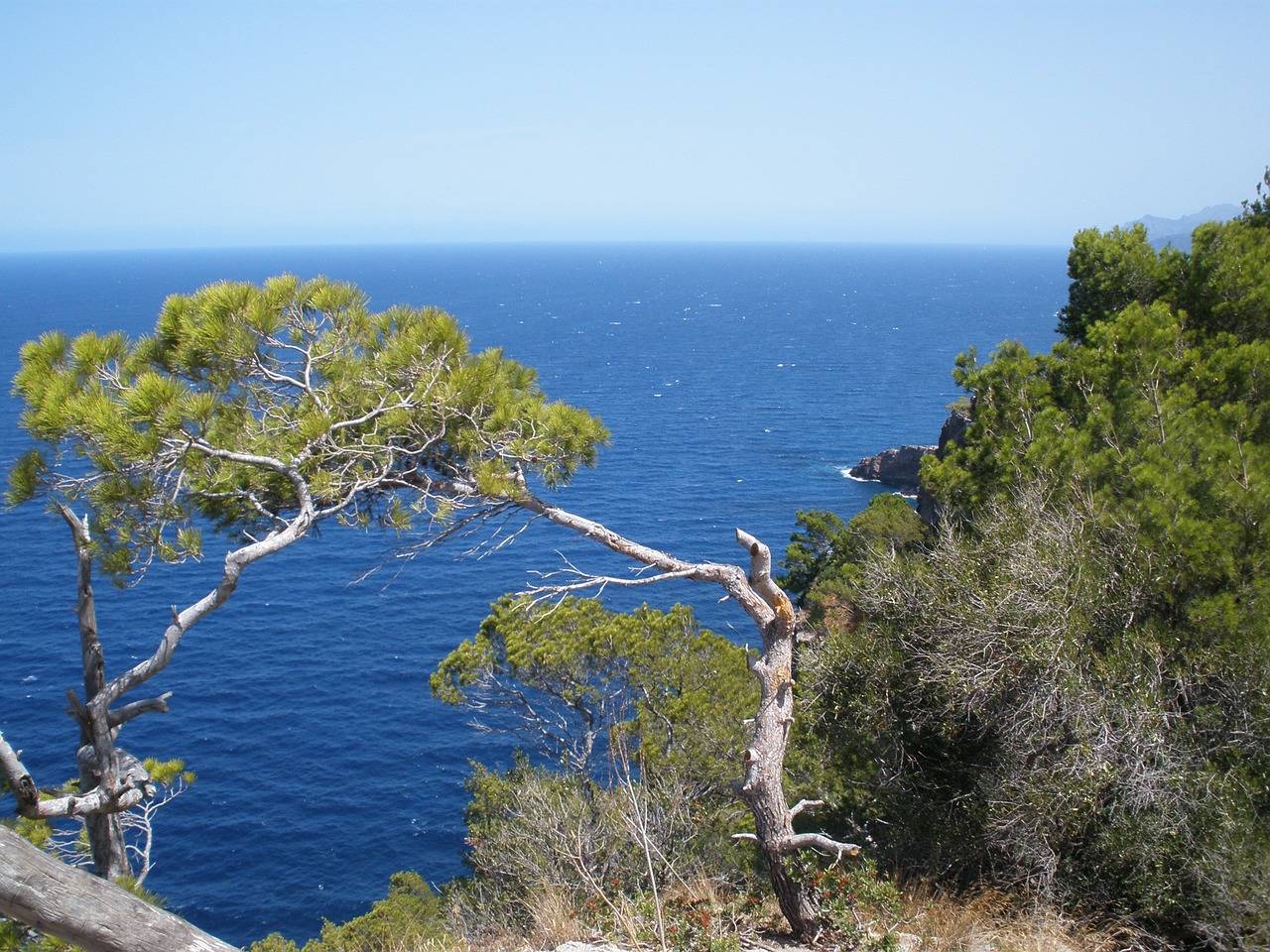 coast nature mediterranean free photo