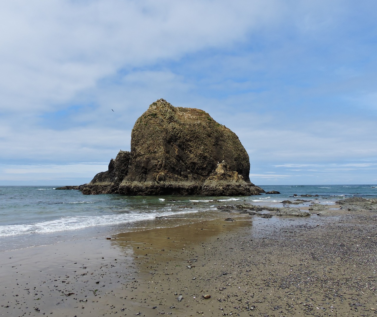 coast oregon coast ocean free photo