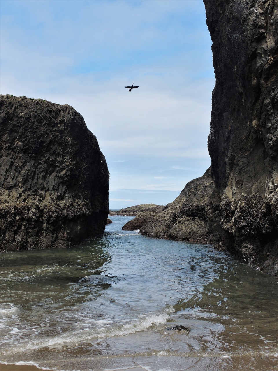 coast oregon coast ocean free photo