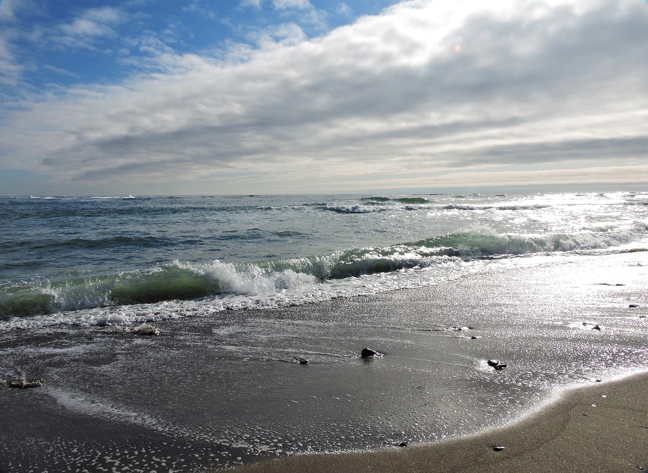 coast oregon coast ocean free photo