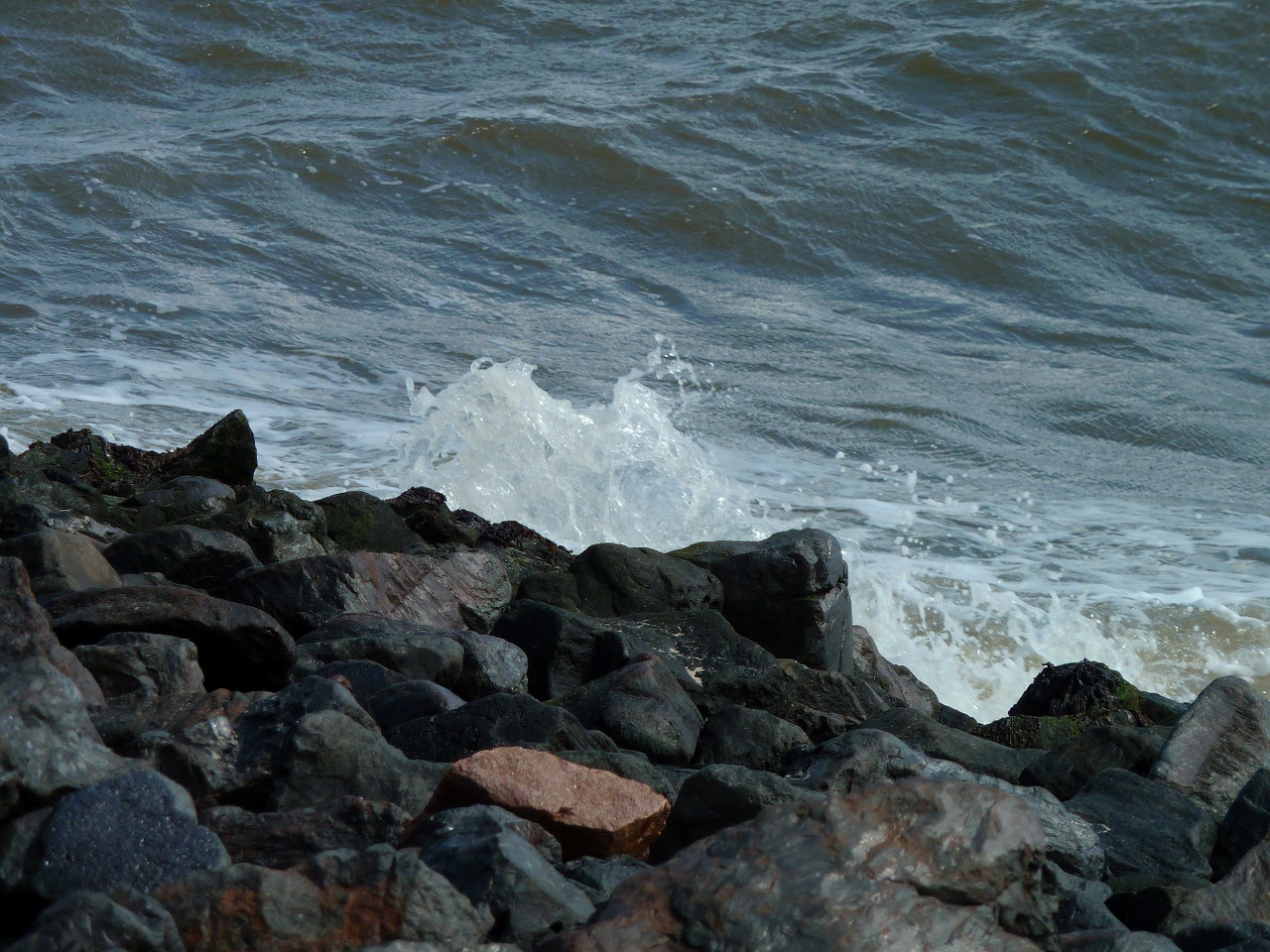 coast north sea baltic sea free photo