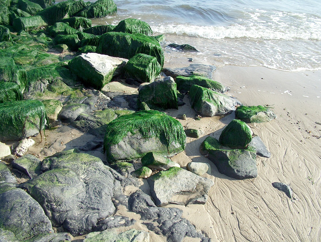 coast stones sand free photo