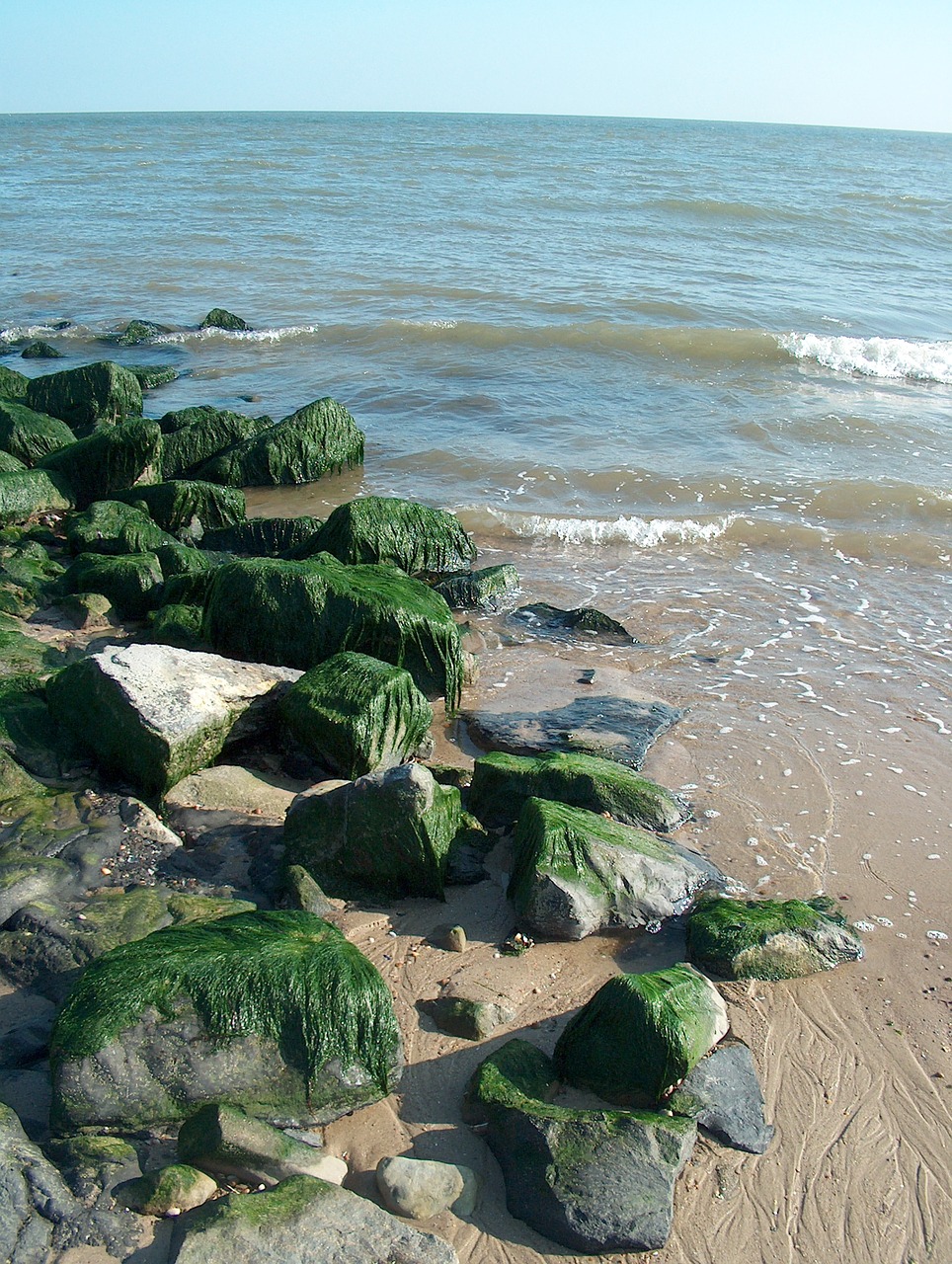 coast stones sand free photo