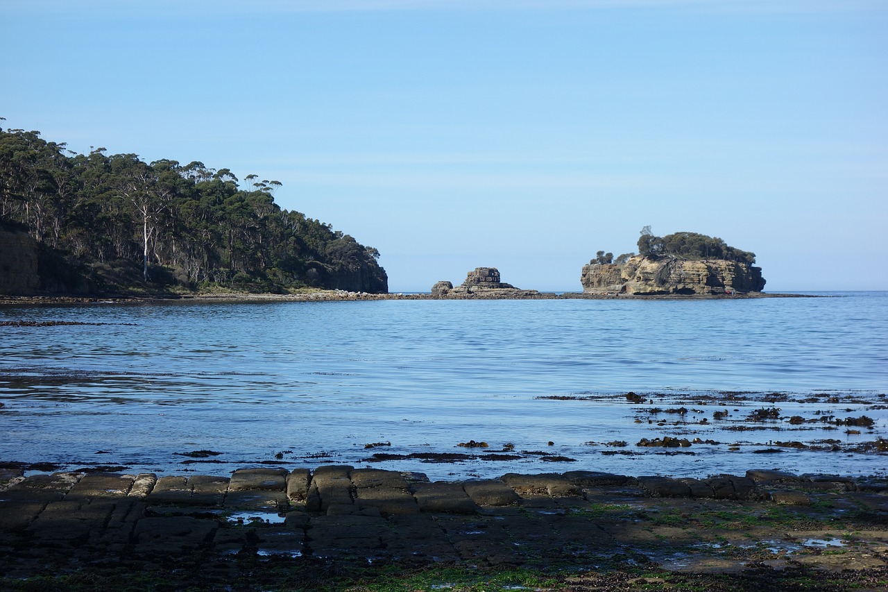 coast water scenic free photo