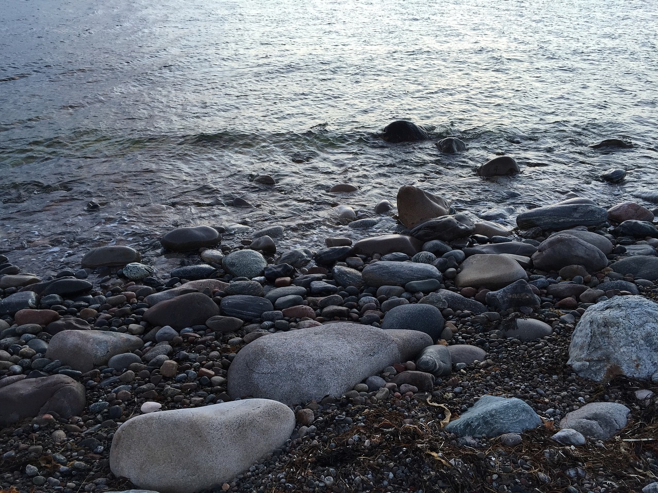 coast beach stones free photo