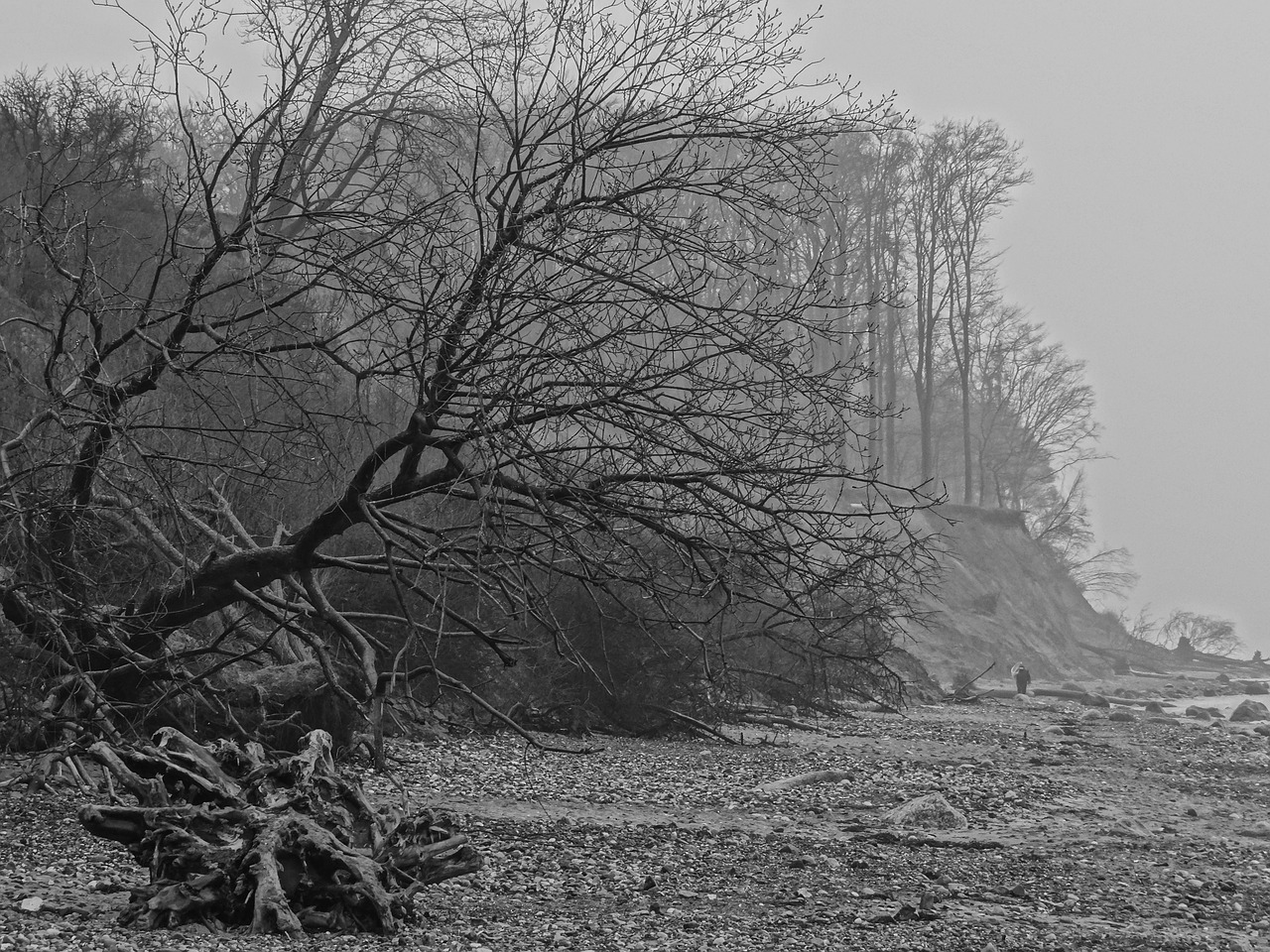 coast baltic sea fog free photo