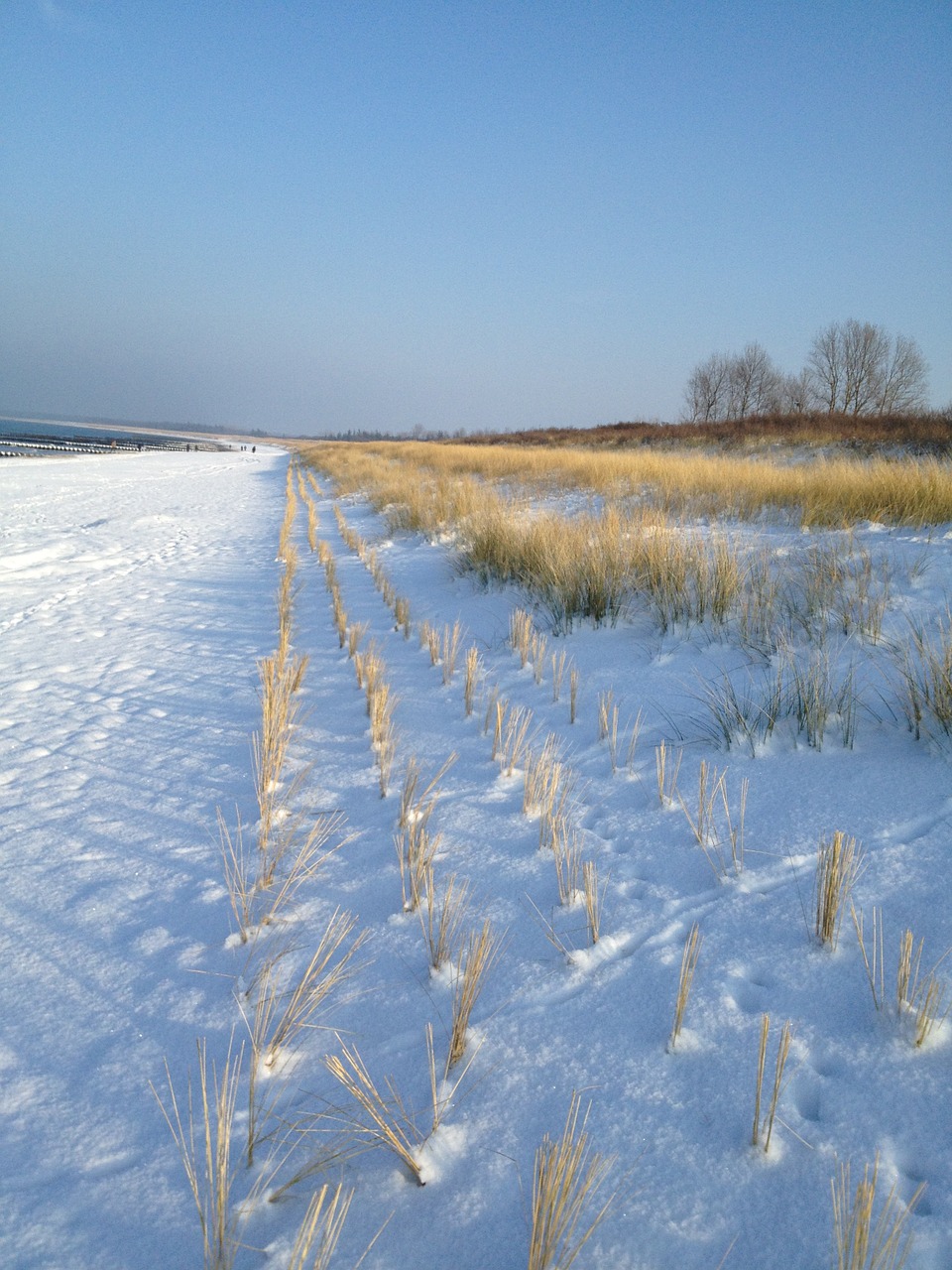 coast winter snow free photo