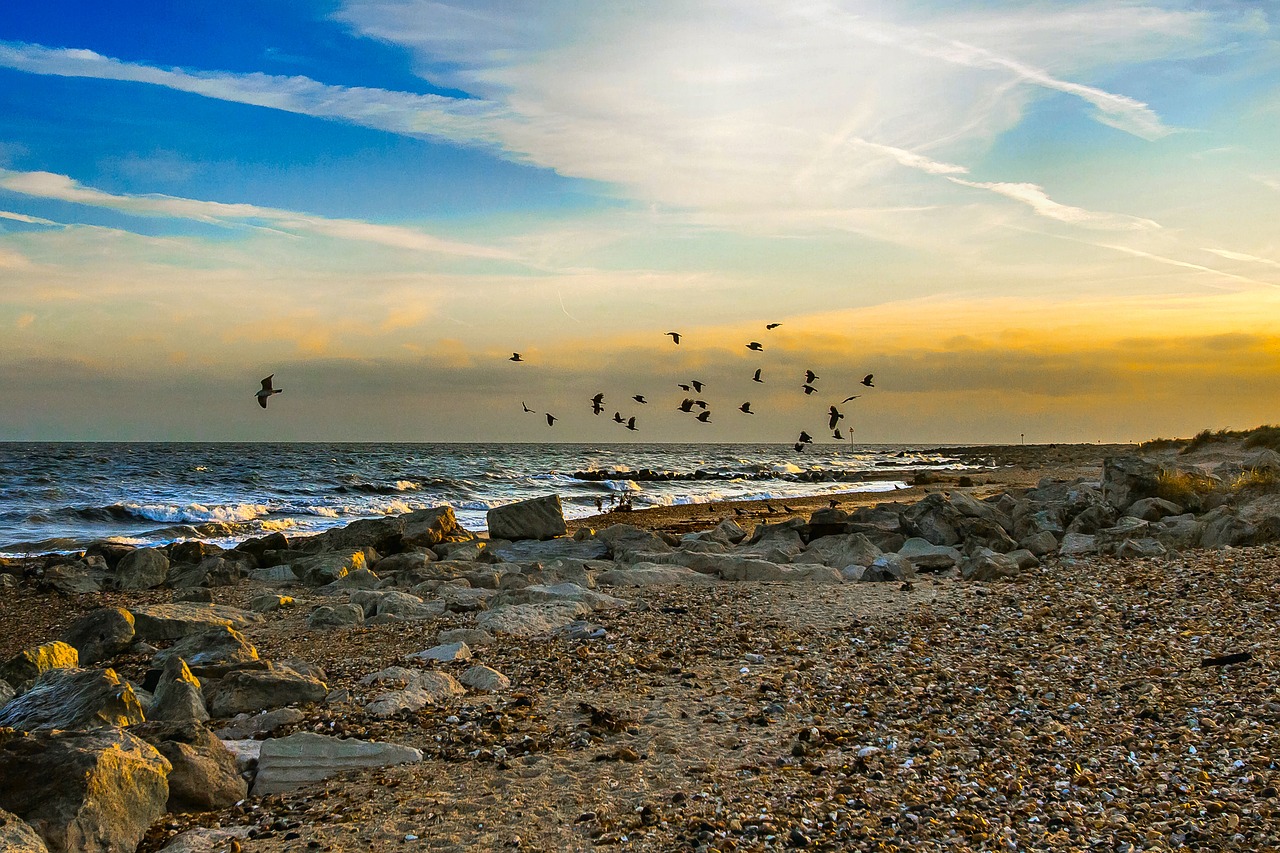 coast ocean sunset free photo