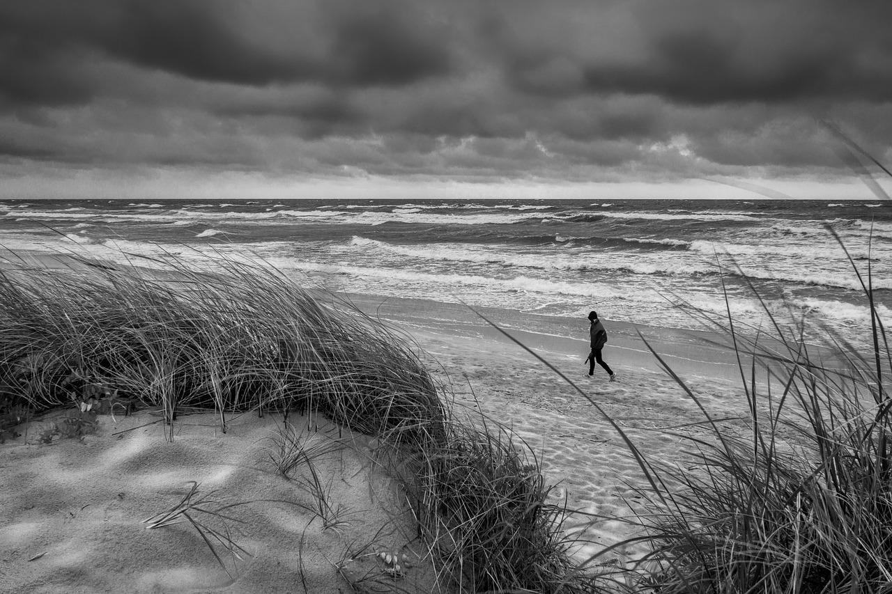 coast sea wind free photo