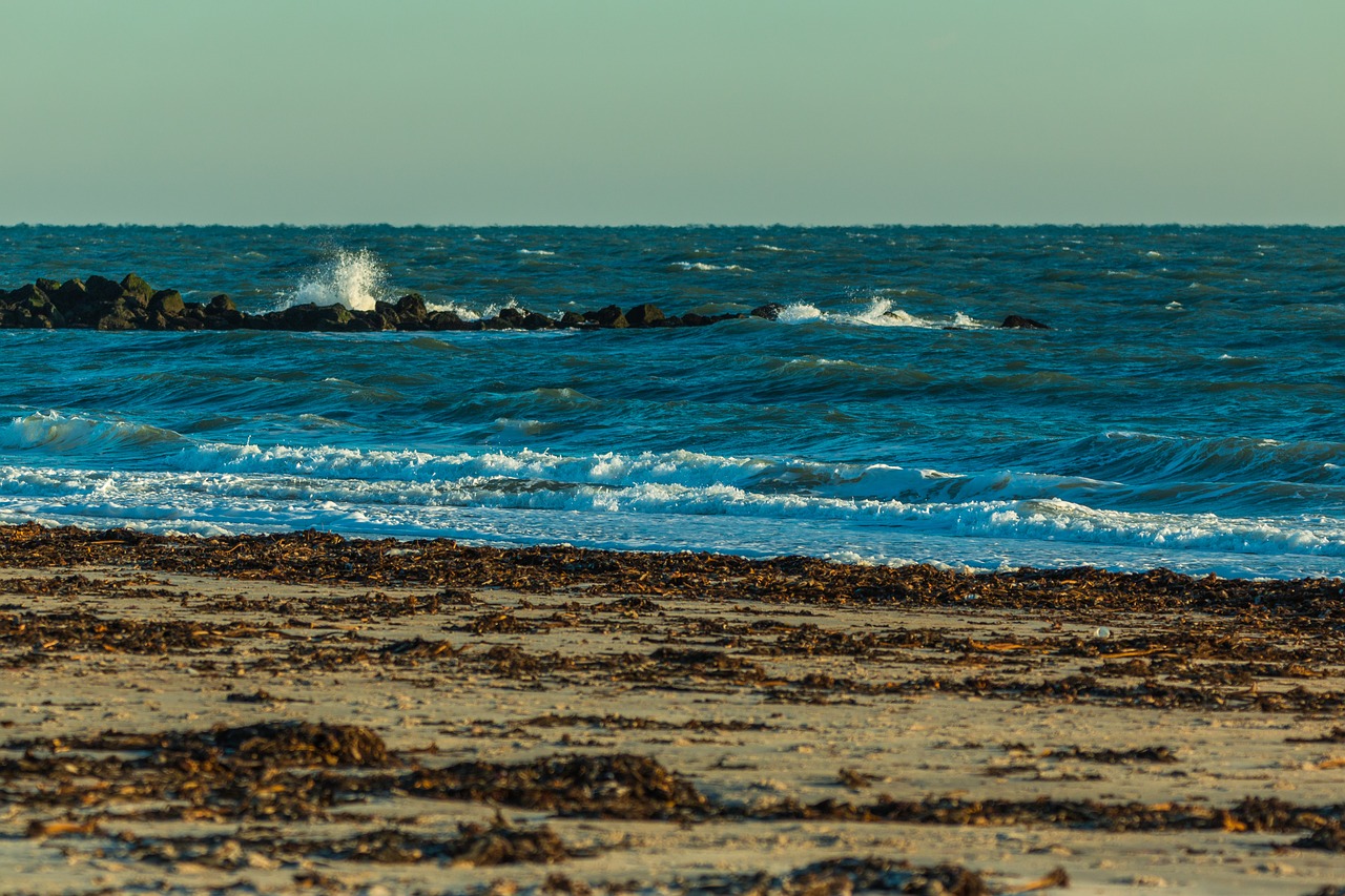 coast sea beach free photo