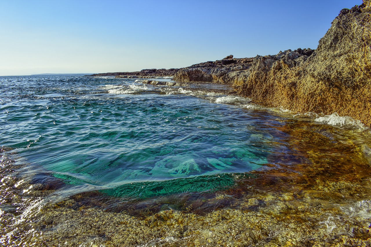 coast sea clear free photo