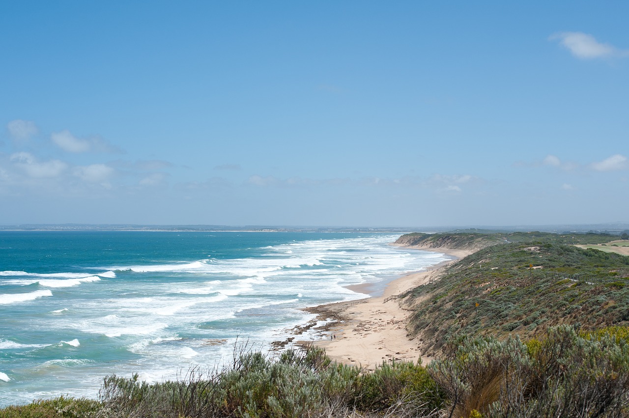 coast beach shore free photo