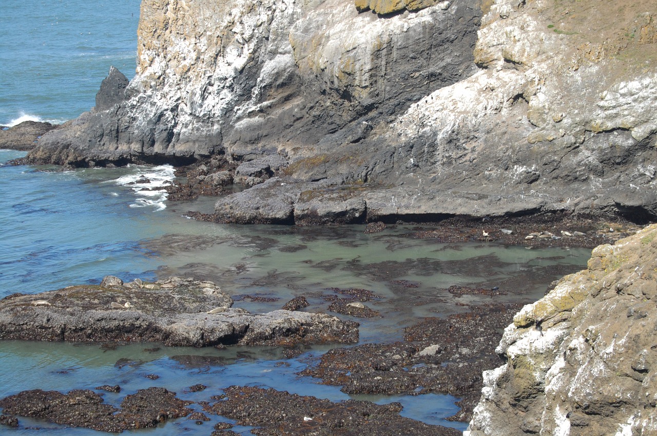 coast cliff rocks free photo