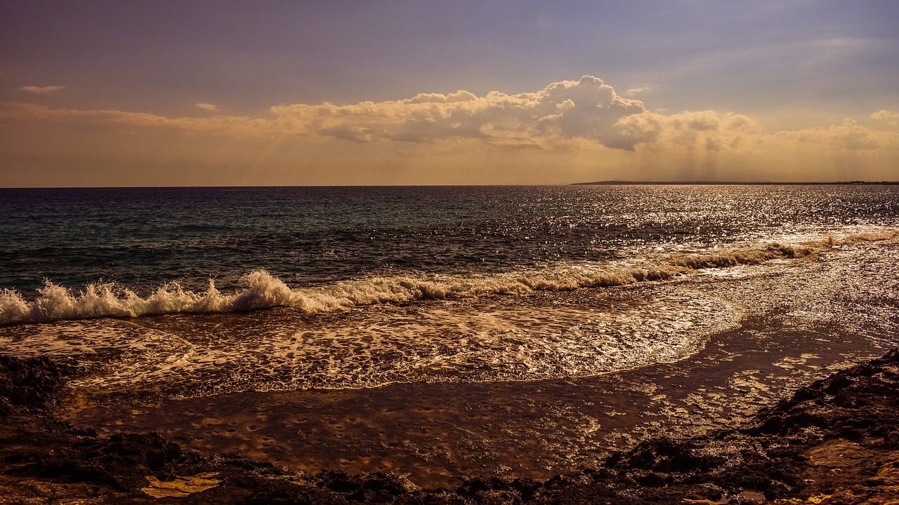 coast beach waves free photo