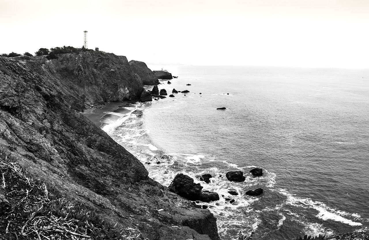 coast black white free photo