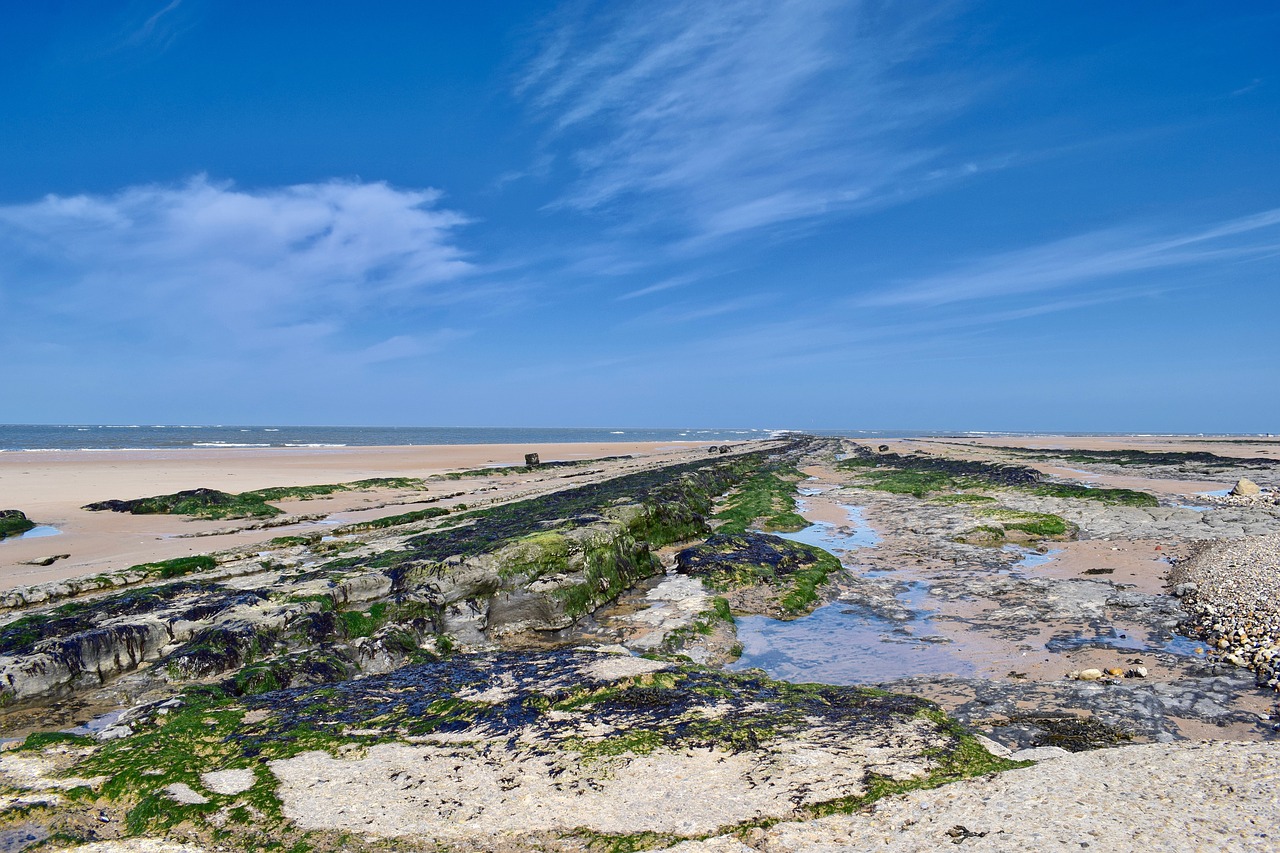 Coastal Waters.