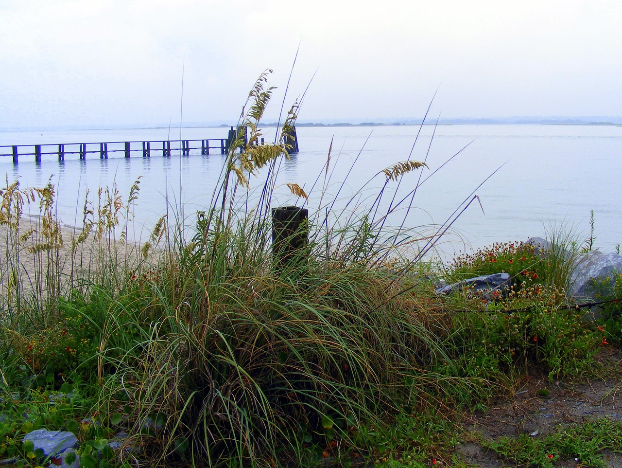 coast pier beach free photo