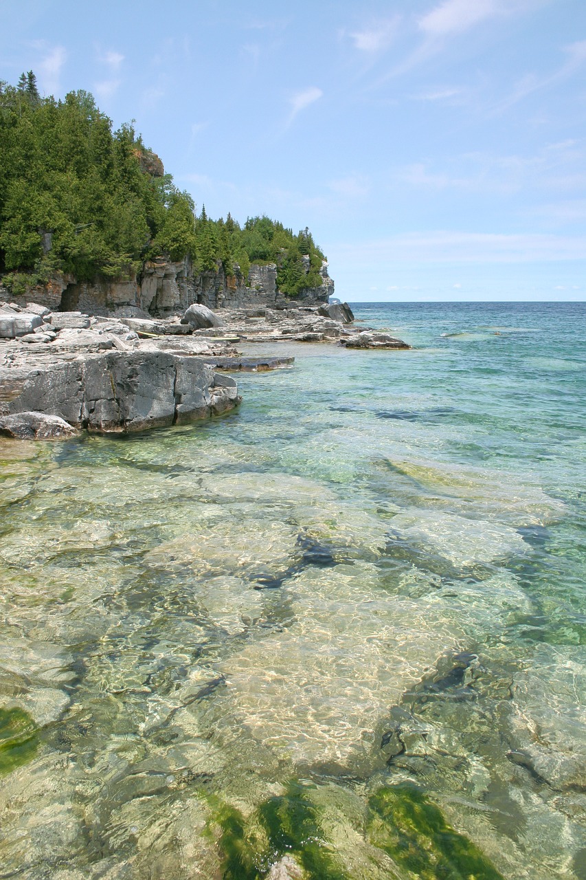 coast rocks shore free photo