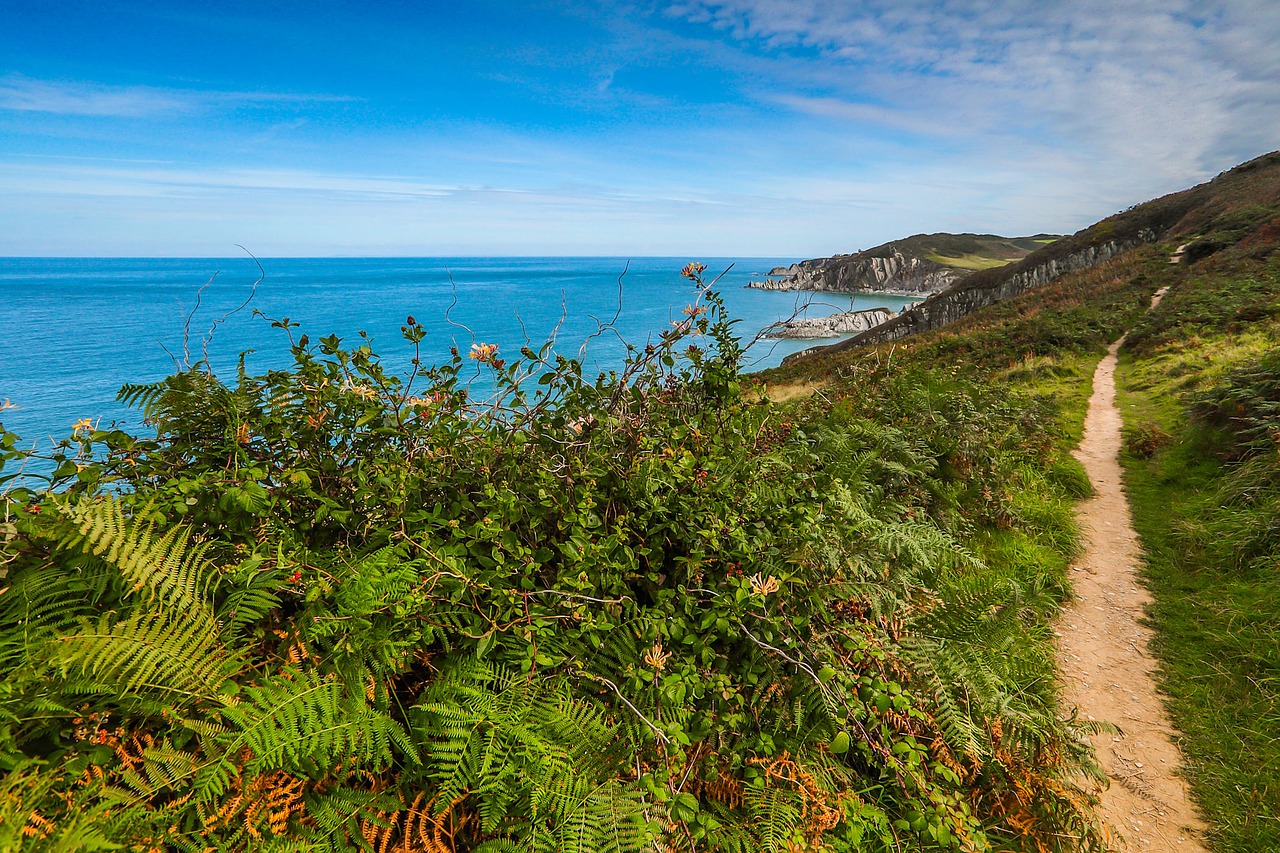 coast walkway ocean free photo