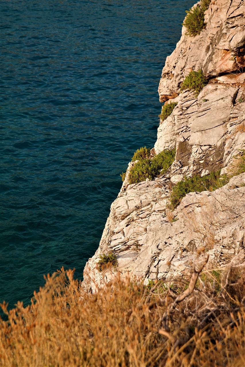 coast rock stones free photo