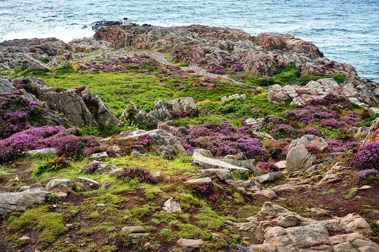 coast sea waters free photo