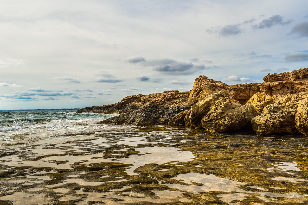 coast rocky sea free photo