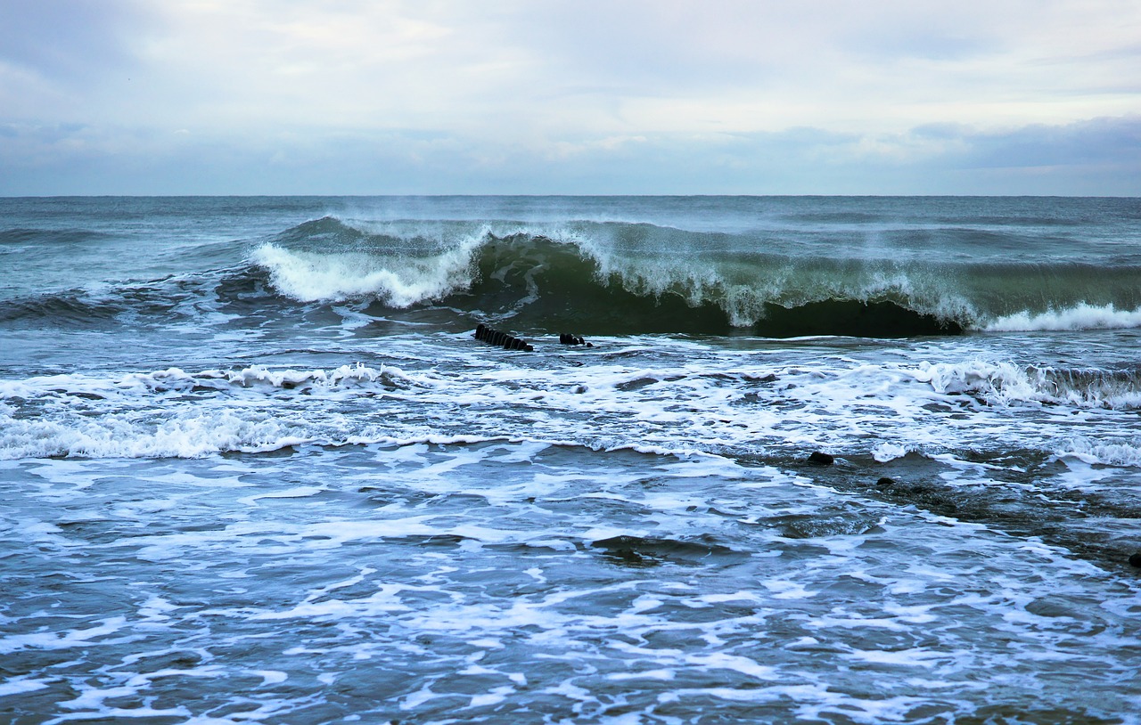 coast landscape beach free photo