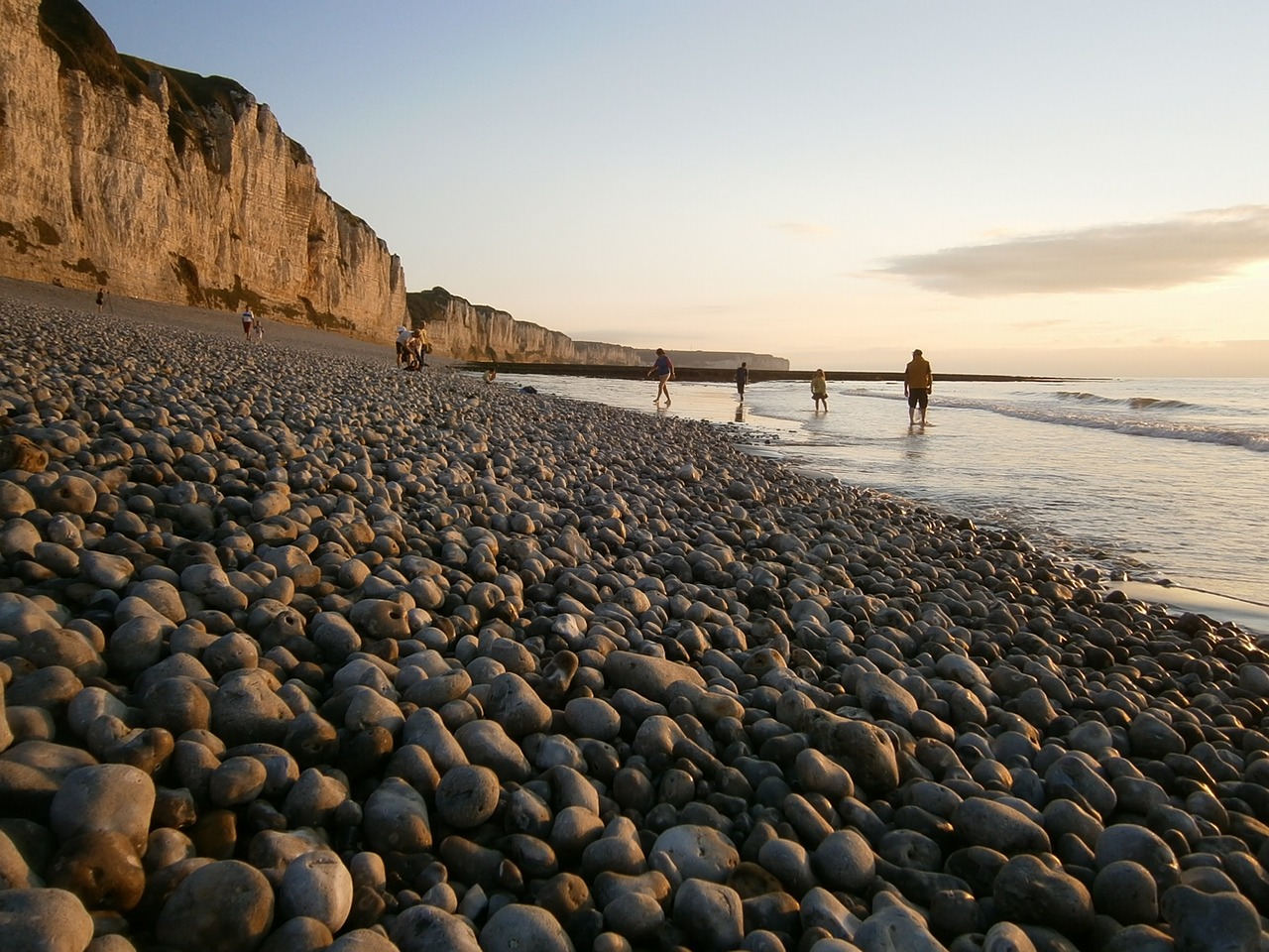 coast  nature  sea free photo