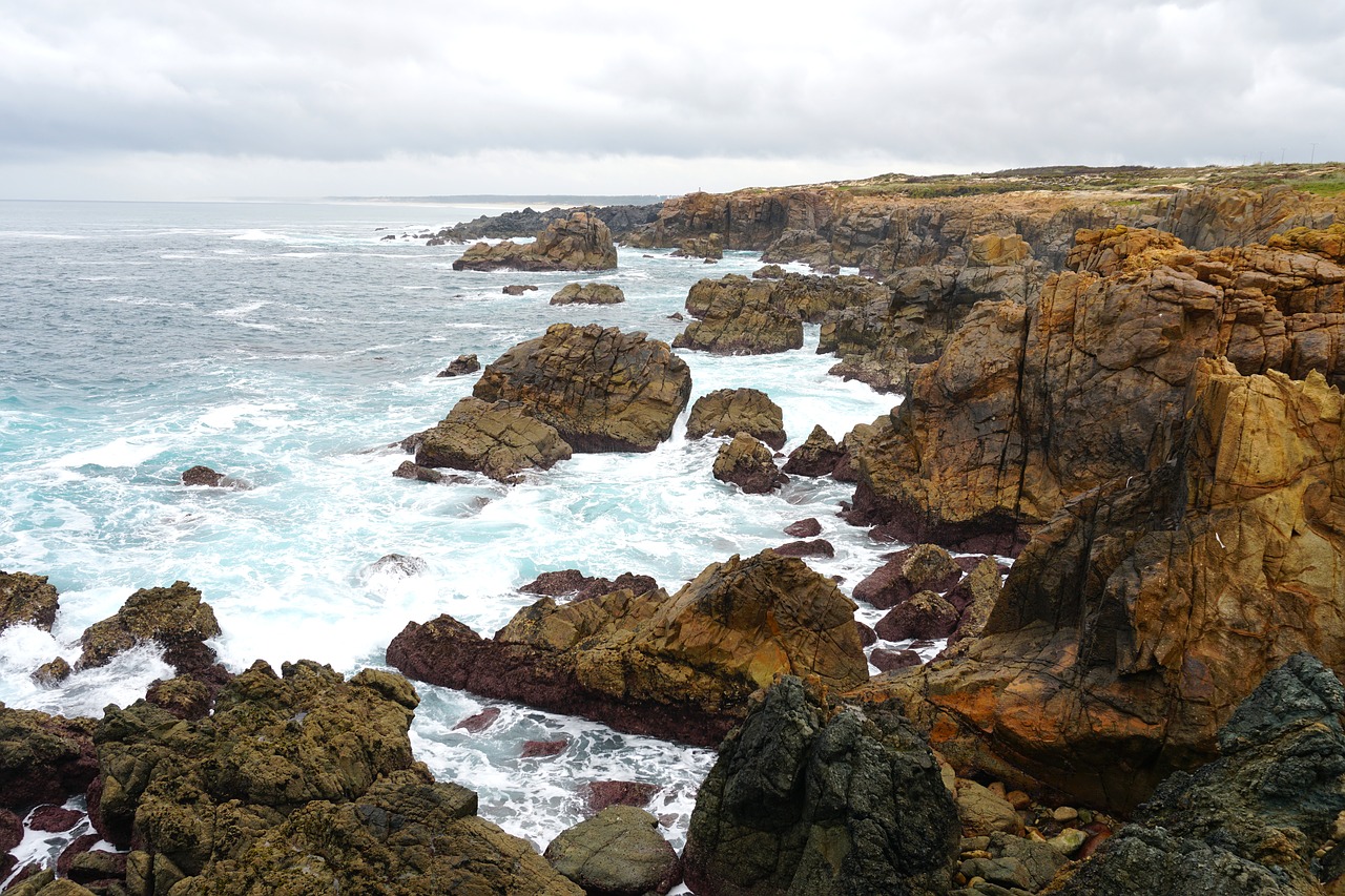 coast  rocks  sea free photo