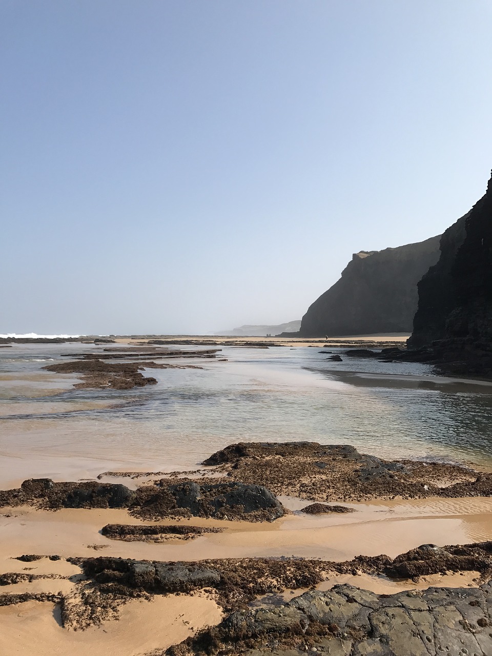 coast  sea  portugal free photo