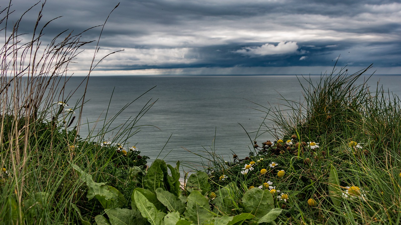 coast  cliff  sea free photo